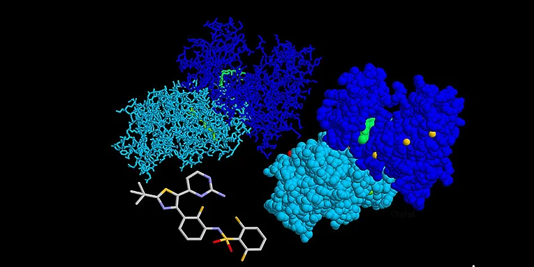 Daprafenib und b-Raf Kinase(V600E)
