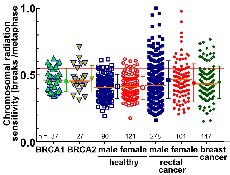 [Translate to English:] Strahlenempfindlichkeit von Patientinnen mit BRCA1 oder BRCA2 Mutationen